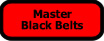Master Black Belts